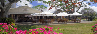Le Fangourin Restaurant