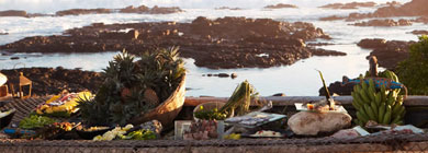 Fish and Rhum Shack (Shanti Maurice)